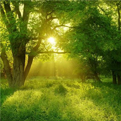 一分三快appapp下载截图